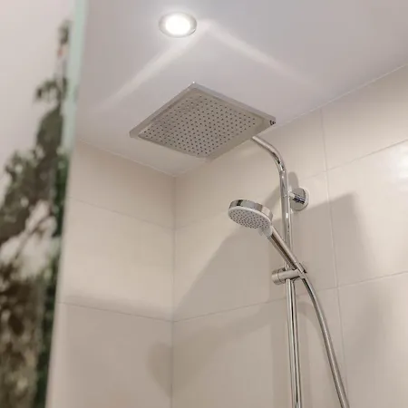 Bartnelke * 상트조한임퐁가우